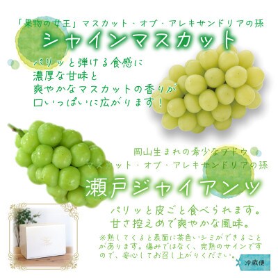 【2026年先行受付】岡山　花笑み農園の『シャインマスカット＆瀬戸ジャイアンツ』1kg(2房)GS【配送不可地域：離島・北海道・沖縄県】