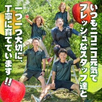 【年明け発送】【訳あり】葉とらずサンふじ＆王林ミックス　10キロ【配送不可地域：離島・沖縄県】