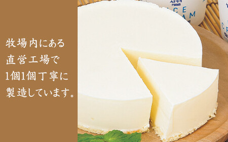 【安比高原】 レアチーズケーキS 300g×2個 ／ チーズケーキ レア ケーキ 冷凍ケーキ ホールケーキ スイーツ グルメ デザート ちーずけーき ケーキ スイーツ デザート APPI 安比高原牧場