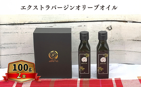 オリーブオイル オリーブ 油 100g×2本 オリーブオイル