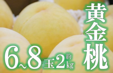 JAフルーツ山梨 甲州市産黄金桃 6～8玉【80】【2026年発送】B-103 桃 フルーツ