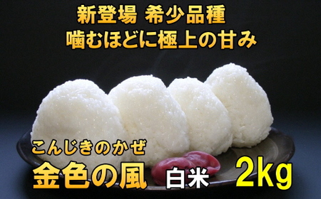 新登場の高級米 令和7年産 岩手県奥州市産 金色の風 白米2kg [AC025]