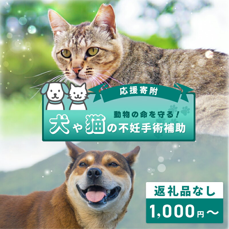 【ふるさと納税】【返礼品なし】 動物の命を守る 犬や猫の不妊手術補助 応援寄附 寄附額 1000円 10000円 30000円 50000円 100000円 動物 動物愛護 不妊手術 不妊手術補助 助成 狂犬病予防 狂犬病予防注射 犬 猫 地域猫 地域支援 寄附のみ 寄附 支援 大阪府 泉佐野市