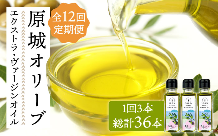 【12回定期便】 原城 オリーブ エクストラ・ヴァージンオイル 100ml 3本 / オリーブオイル オイル 油 調味料 / 南島原市 / ミナサポ [SCW059]