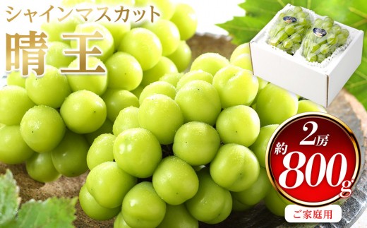 
            ぶどう 2026年  ご家庭用 シャイン マスカット 晴王 約400g×2房 ブドウ 葡萄  岡山県産 国産 フルーツ 果物
          