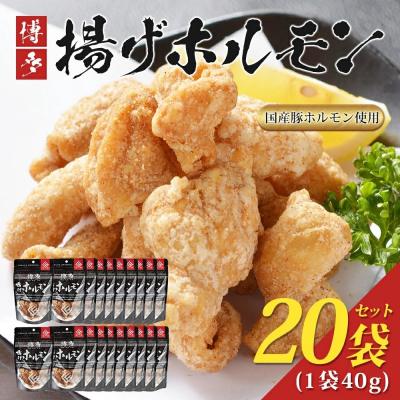 ふるさと納税 古賀市 博多揚げホルモン(20袋セット)