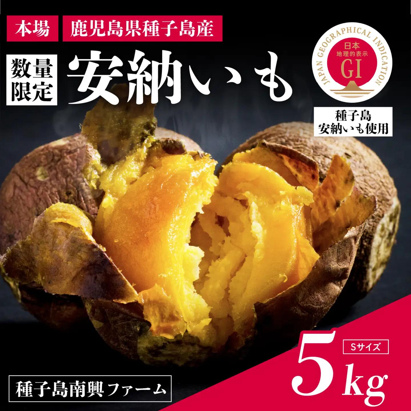 【先行予約】種子島 安納いも 5kg（Sサイズ：100g～200g）（種子島南興ファーム）さつまいも 本場 安納芋 安納紅 安納こがね さつま芋 甘い ねっとり スイーツ おやつ グルメ お取り寄せ 人気 種子島産 返礼品 南種子町 鹿児島【南種子町観光物産館 トンミー市場】