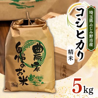 ふるさと納税 ふじみ野市 コシヒカリ 5kg 精米【埼玉県ふじみ野市産】