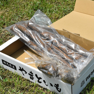 伊勢崎市産泥付きやまといも・ごぼう詰め合わせセット ※北海道・沖縄・離島への配送不可