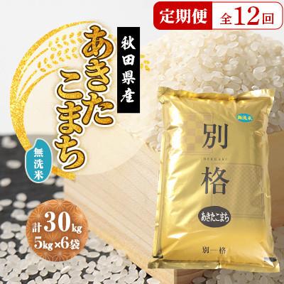 ふるさと納税 大潟村 【毎月定期便】あきたこまち 無洗米 30kg(5kg×6袋)全12回