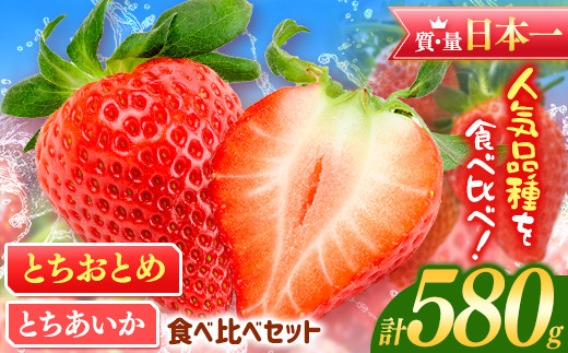 【2025年先行予約】 とちおとめ とちあいか 食べ比べ セット   (290g×2パック）約580g | 日本一 いちご生産量 JAはが野 栃木県 代表 とちおとめ 真岡市 栃木県 送料無料 苺 ストロベリー 人気品種 フルーツ 果物