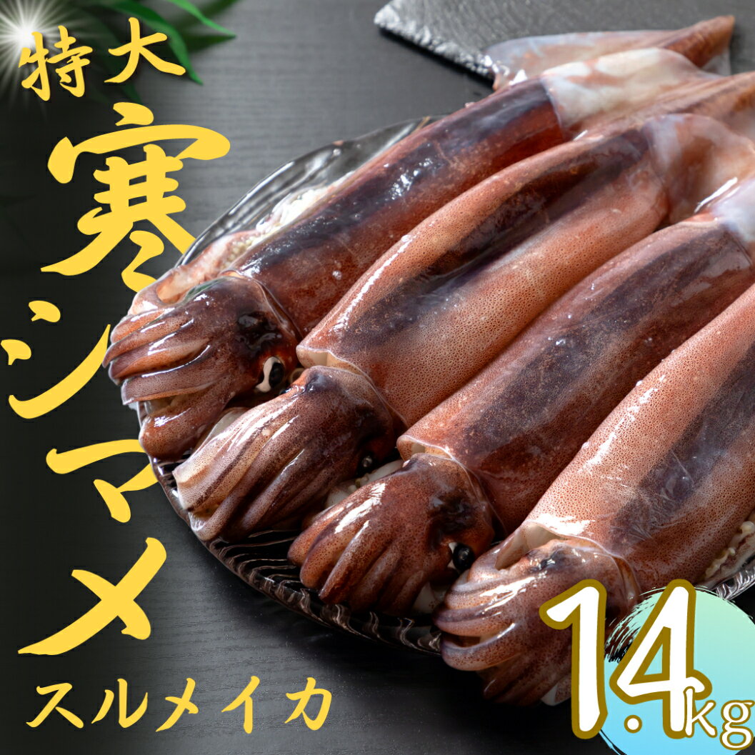【ふるさと納税】【寒シマメ 特大サイズ まるごと4杯セット】 1.4kg〜1.6kg いか イカ スルメイカ 朝どれ寒シマメ お歳暮