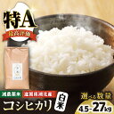 【ふるさと納税】＜選べる内容量＞令和6年 滋賀県湖北産 湖北のコシヒカリ 4.5kg〜27kg 白米【食味最高ランク特A 2年連続受賞】【減農薬米】滋賀県長浜市/株式会社エース物産[AQAK002] こしひかり お米 白米 選べる 産地直送 単一原料米 精米 ご飯