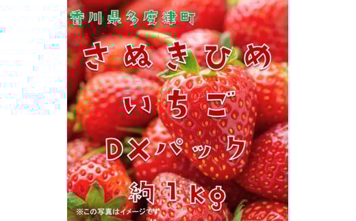 さぬきひめいちご 約1kgDXパック【予約受付中：令和7年12月より発送】【B-48】