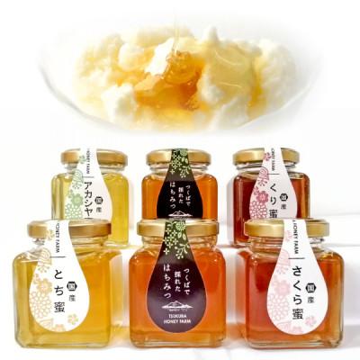 ふるさと納税 つくば市 国産蜂蜜物語 (国産はちみつ100g × 6個) ギフトセット