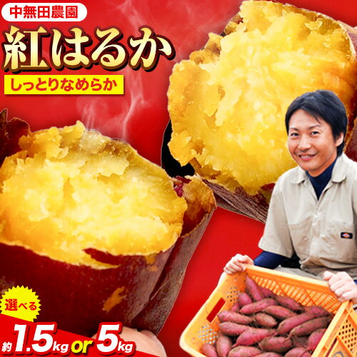 【ふるさと納税】熊本県大津町産 中無田農園の紅はるか 選べる 内容量 約1.5kg 約5kg (大中小サイズ不揃い) 熊本県大津町 《1-5日以内に出荷(土日祝除く)》 さつまいも 芋 スイートポテト 干し芋にも 名産地 特産品 秋 旬