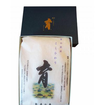 ふるさと納税 南砺市 プリントパック　富山県産こしひかり　育(はぐくみ)　白米　2kg　《南砺の逸品》