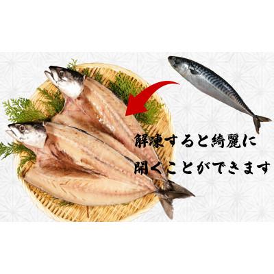 ふるさと納税 銚子市 一汐さば 8kg |  | 01