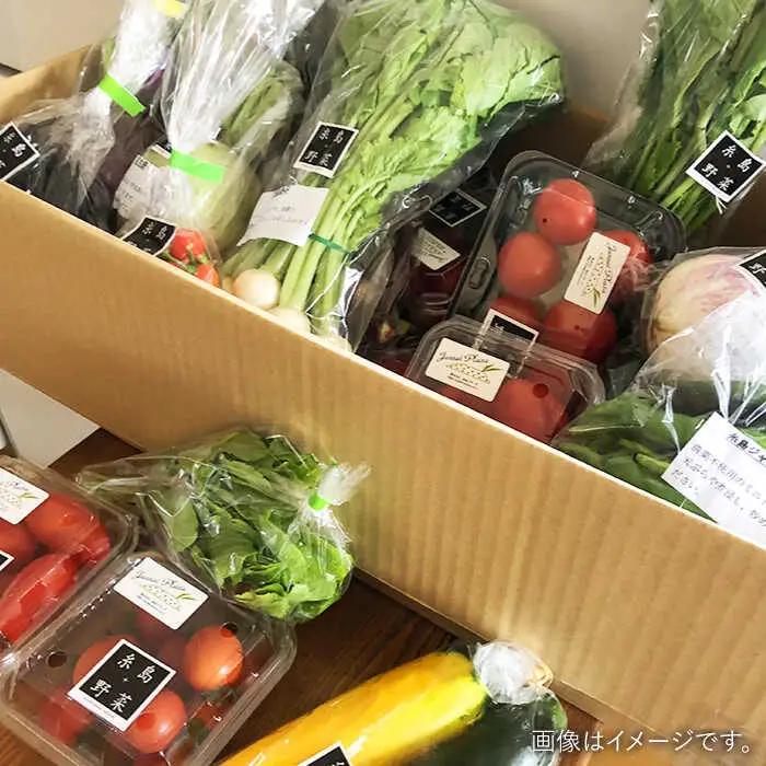 【全3回定期便】旬を味わう 糸島 野菜 セット 10?14種 （14パック） / イタリア野菜 オーガニック 野菜ソムリエ 松永 糸島市 / vegeLabo [AJB004]