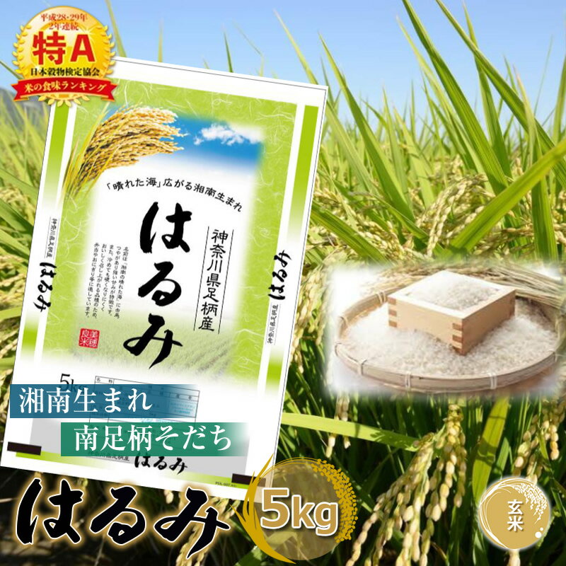 【ふるさと納税】【令和7年産】湘南生まれ南足柄育ちのブランド米「はるみ」(玄米) 5kg 創業100年の米屋がお届け【特A ギフト プレゼント 贈り物 返礼 御礼 おいしい 】 【 ごはん おいしい 神奈川県 南足柄市 】