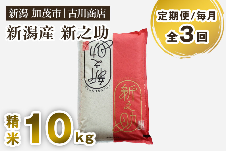 
            【令和7年産新米】【定期便3回毎月お届け】新潟の新ブランド米「新之助」精米 10kg 《順次発送》 白米 お米 米 大粒 加茂市 お米の専門店 古川商店 定期便
          