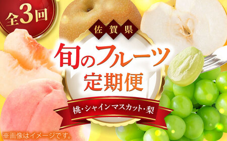 【2026年発送分 先行予約】【全3回定期便】佐賀県の生産者を応援！桃とシャインマスカットと梨を楽しむ定期便 / 佐賀県ふるさと納税 [41AAZZ021]