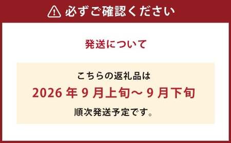 黄金桃（6玉 約1.4kg、ロイヤル級 1玉 240g以上）【2026年9月上旬～9月下旬 発送予定】【黄金桃 桃 もも モモ 果物 フルーツ 岡山県 倉敷市 おすすめ 人気】