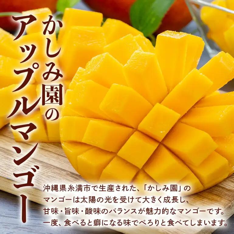 【 先行予約 2027年 発送 】 優秀賞受賞のかしみ園 アップルマンゴー 1kg 沖縄県産 マンゴー アーウィンマンゴー 1キロ 国産 完熟マンゴー 果物 南国 くだもの フルーツ 完熟 夏 旬 特