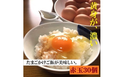 江原ファーム　体に優しい地養卵（３０個）