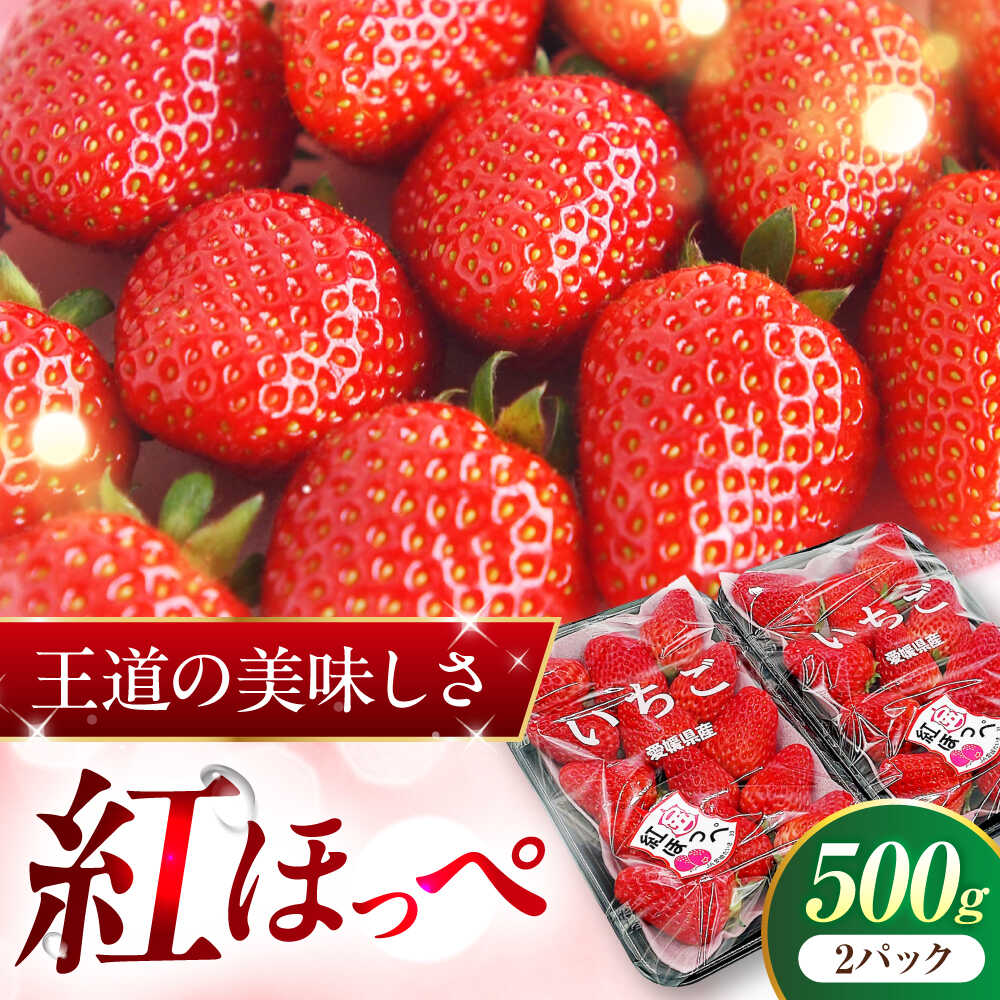 【先行予約】【2027年1月上旬～発送開始】【ふるさと納税】いちご 「紅ほっぺ」 2パック ／ イチゴ 苺 果物 フルーツ 国産 産地直送 愛媛県 内子町産【株式会社フジ・アグリフーズ】[BKAY001]