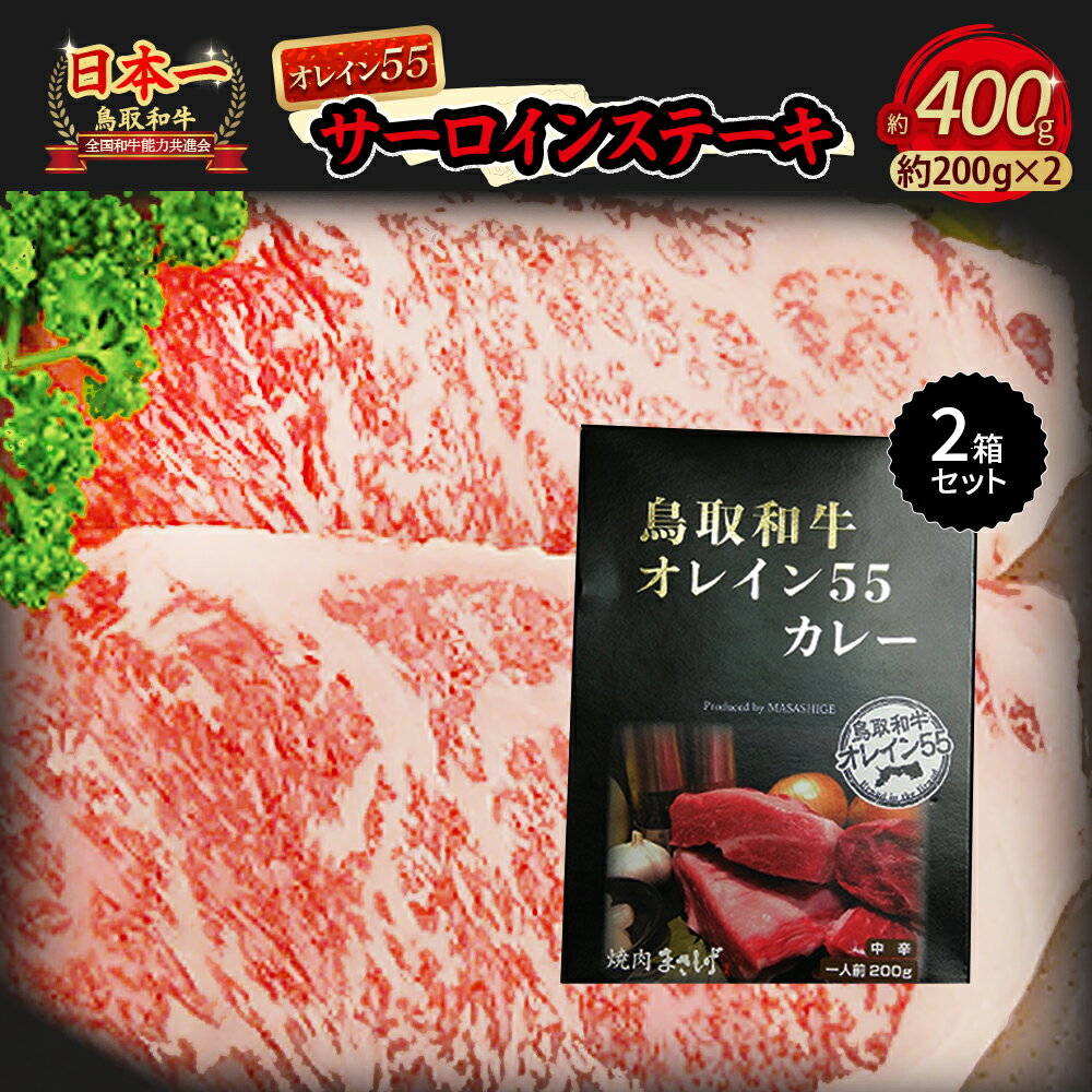 【ふるさと納税】鳥取和牛 オレイン55 サーロインステーキ と鳥取和牛オレイン55 カレー セット サーロイン ステーキ 牛肉 レトルト