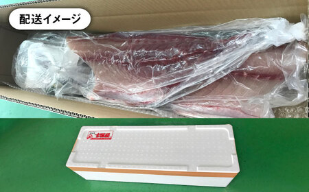 【お正月用】壱岐島産天然寒ブリ（12ｷﾛ台・3枚おろし）[JBS117]