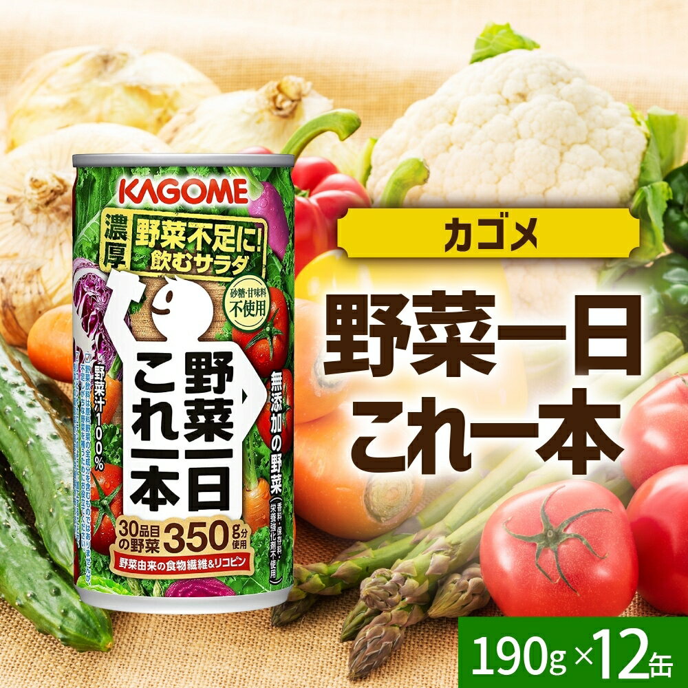 【ふるさと納税】 野菜一日これ一本 190g×12 缶 カゴメ 野菜ジュース ミックスジュース リコピン βカロテン KAGOME 送料無料