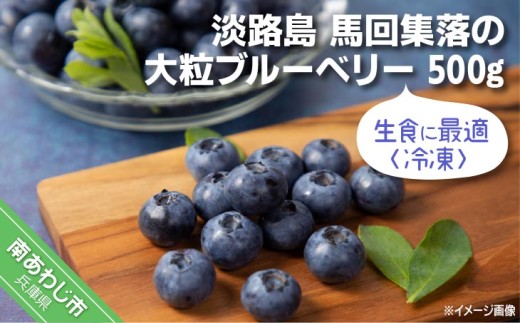 【生食に最適／冷凍】淡路島　馬回集落の大粒ブルーベリー 500g