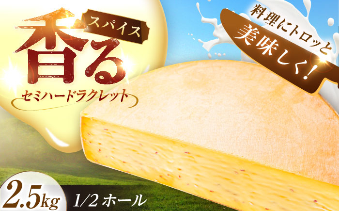 
                  ＼TVで話題／北海道 スパイスラクレット 1/2ホール（2.5kg）《足寄町》【しあわせチーズ工房】[BEAK033]チーズ ラクレット ラクレットチーズ 生乳 ミルク 乳製品 チーズフォンデュ 北海道産 道産 あしょろ 北海道 62000 62000円
                