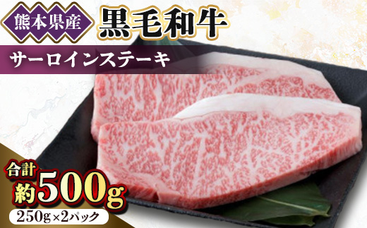 
                  ＜黒毛和牛＞熊本県産　サーロインステーキ　500g(250g×2パック)　(美里町)【1527970】
                
