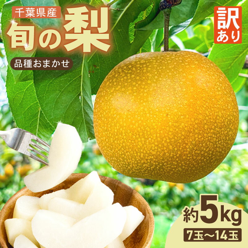 【ふるさと納税】 梨 訳あり 約 5kg 品種 おまかせ 豊水 あきづき 新高 等 7玉～14玉 旬の梨 千葉県産 果物 果実 くだもの フルーツ 旬 なし ナシ 和梨 豊水梨 秋月 訳アリ 2026 先行予約 2026年 国産 関東 千葉 千葉産 新鮮 家庭用 自宅用 送料無料 千葉県 旭市 齋藤園