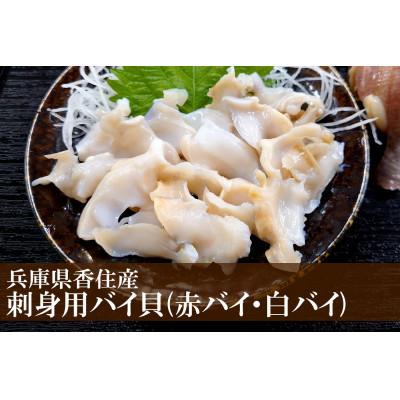 ふるさと納税 香美町 バイ貝 刺身用 冷凍 兵庫県香住産 約600g(令和6年9月中旬以降お届け)