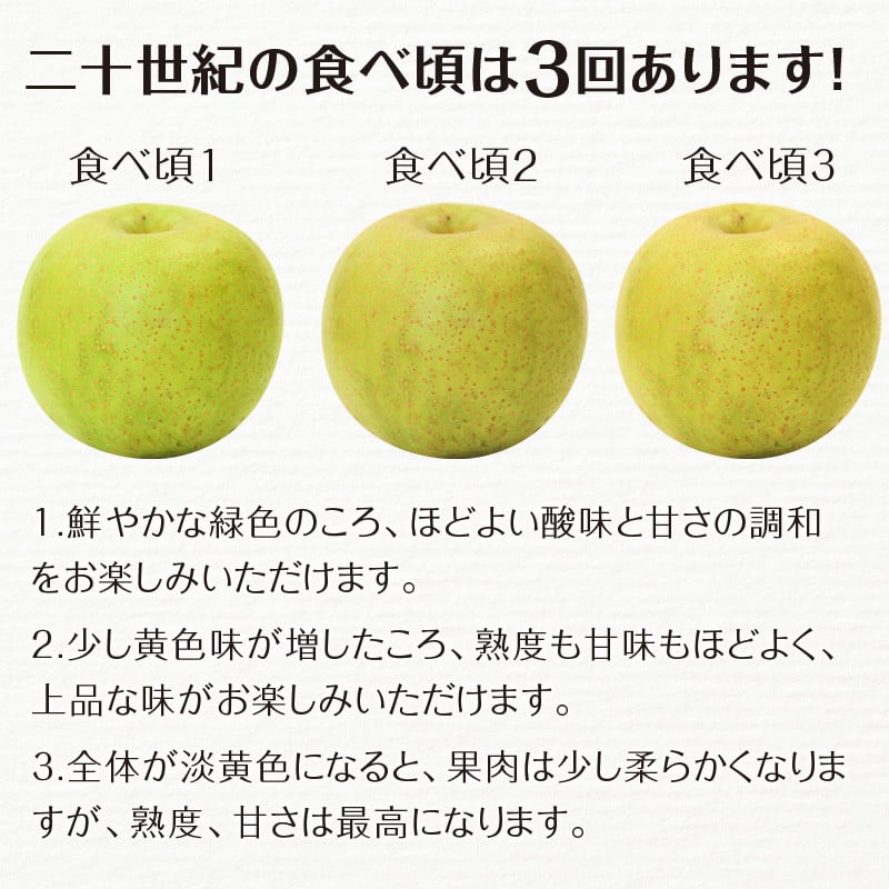 FKP9-687 【先行予約】二十世紀梨（廿世紀梨）約2.5kg