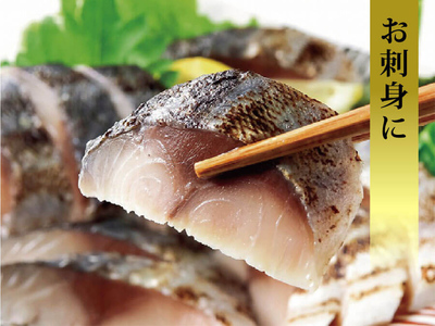 国産あぶりしめさば 12パック しめ鯖 冷凍 炙りサバ お刺身 お寿司 おかず