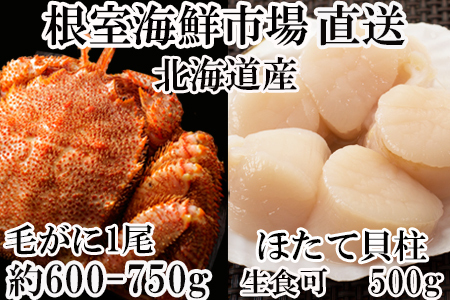 ボイル毛がに約600～750g×1尾、天然刺身用ほたて貝柱500g ＜12月8日決済分まで年内配送＞B-11021