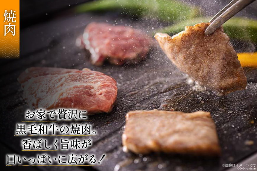 黒毛和牛 特選 カルビ 焼肉 500g [アグリ産業匠泰 宮崎県 美郷町 31be0024] 牛肉 炒め BBQ バーベキュー キャンプ 普段使い 調理 おかず 料理 国産 送料無料 パック 厳選 カ