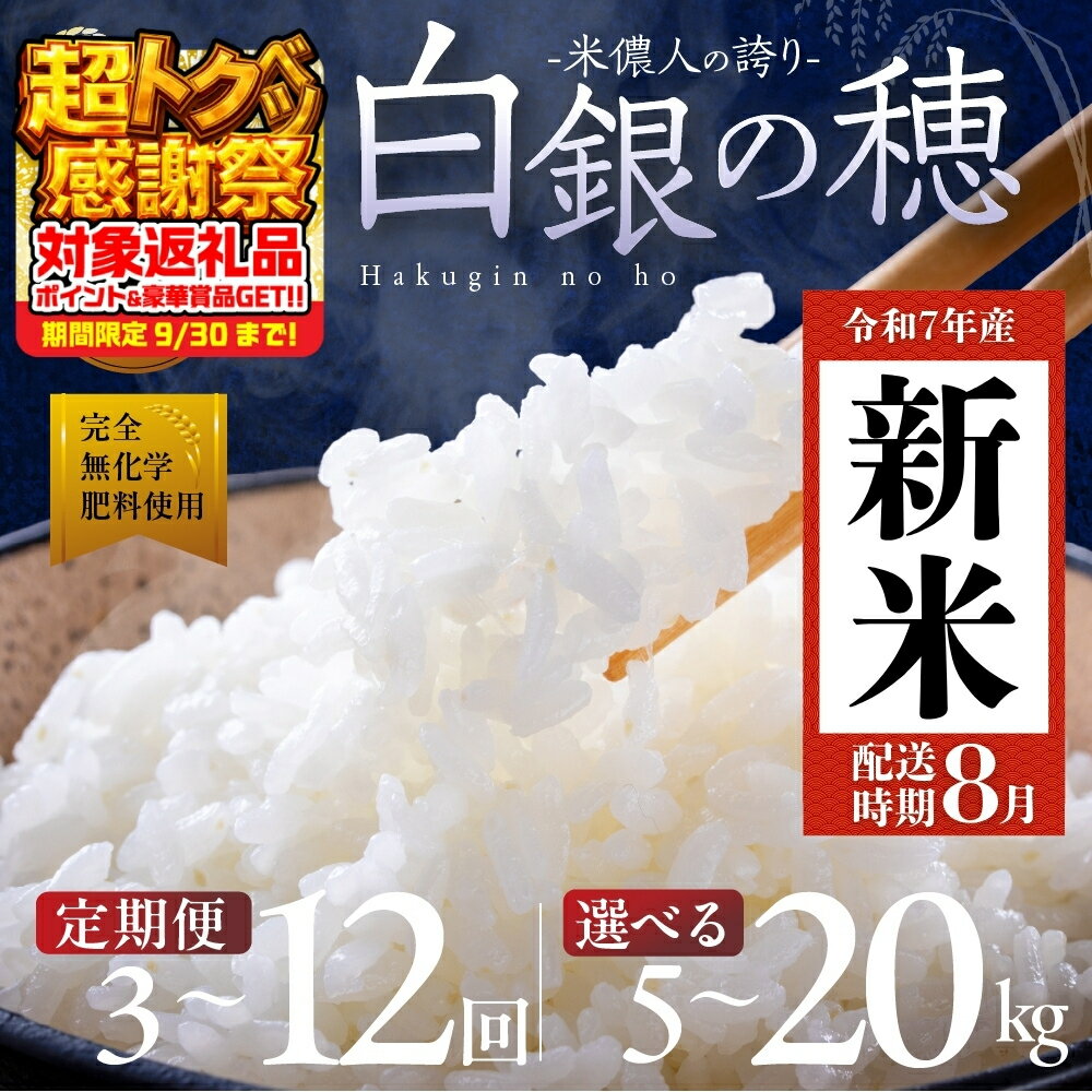 【ふるさと納税】どこよりも早く 8月 新米 白銀の穂 5kg 10kg 20kg 選べる 定期便《3回 / 6回 / 12回》白米 お米 6か月 10キロ 20キロ おこめ 米 こめ コメ ふるさと納税米 ブランド米 令和7年 新米 こしひかり コシヒカリ ランキング 30kg 新着 送料無料 愛知県 豊橋市