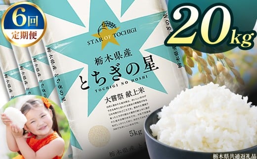 【定期便6回】栃木県産とちぎの星 20kg | 2025年 2025年米 令和7年米 秋 白米 ごはん ご飯 小分け 人気 おいしい 旨い おにぎり おむすび お弁当 限定 栃木県共通返礼品 栃木県 下野市 送料無料