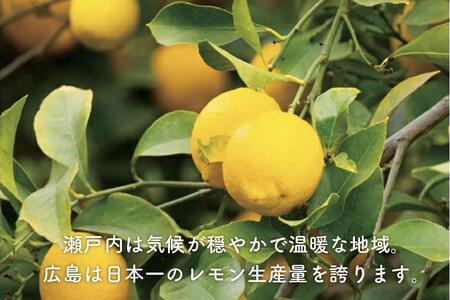 完全無添加 生レモンペースト800g(200g×4PC)