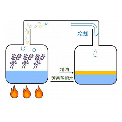 ふるさと納税 久喜市 久喜市菖蒲産ラベンダー精油(エッセンシャルオイル)3ml　2本セット |  | 03