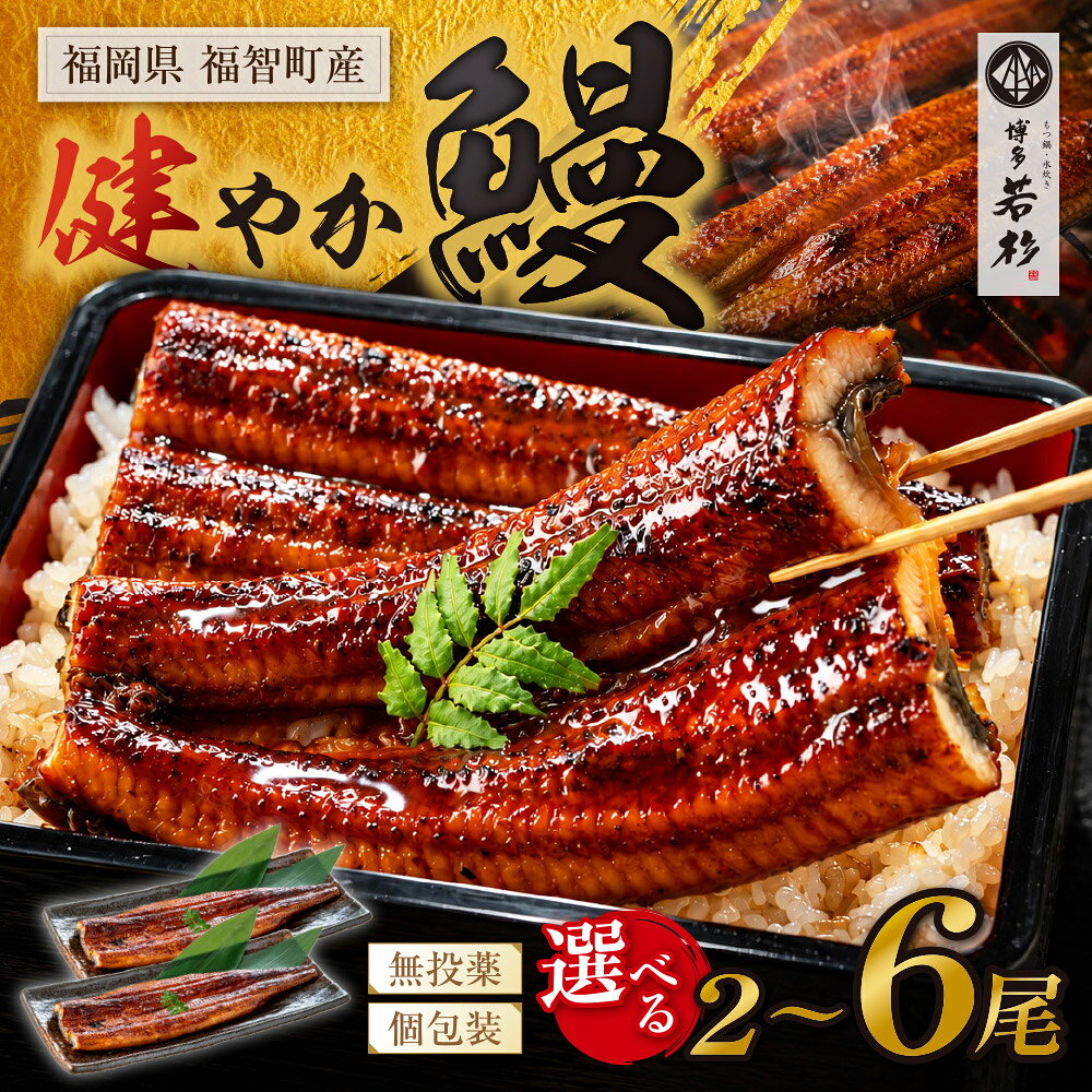 国産うなぎ蒲焼大サイズ2尾（計350g以上）鰻蒲焼用タレ・山椒付 うなぎ生産量日本一鹿児島県産・宮崎県産 K61-71