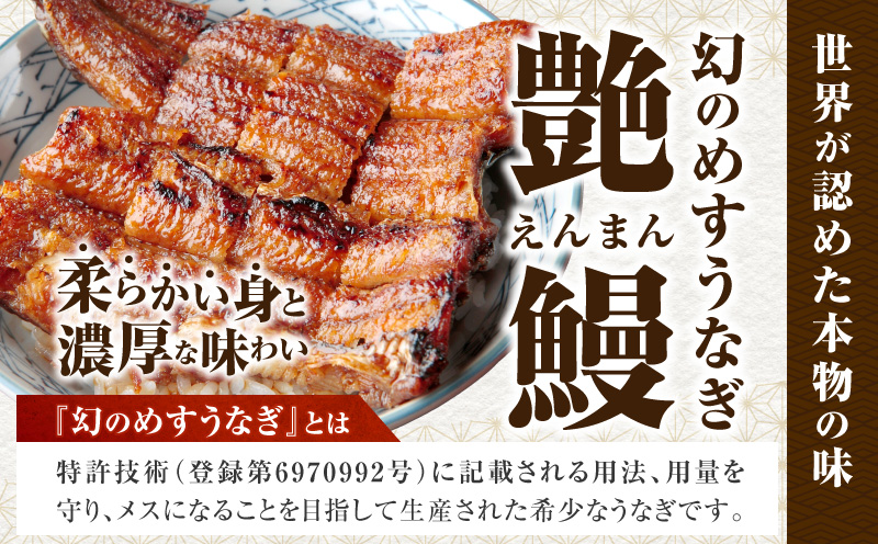 三河一色産　幻のめすうなぎ艶鰻　蒲焼6尾・T118