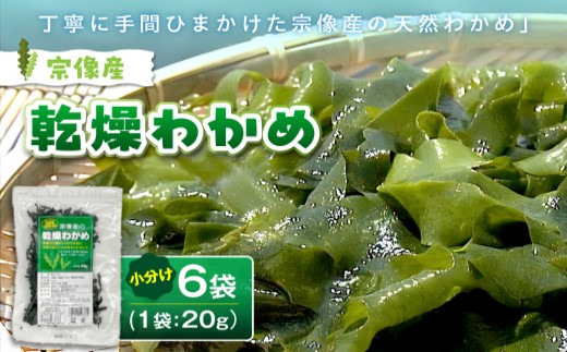 【道の駅むなかた】宗像産 乾燥カットわかめ 20g×6袋セット（計120g）_AS0444-00