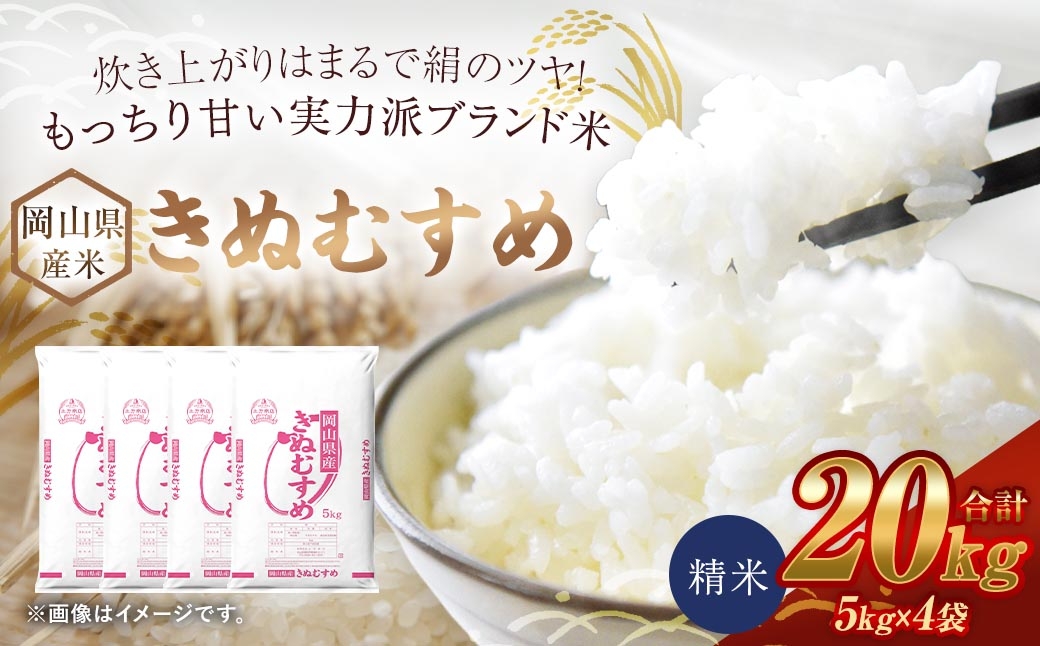 
                  【 令和8年産 】 岡山県産米 きぬむすめ 20kg （ 5kg × 4袋 ） お米 米 こめ コメ 白米 精米 白飯 飯 ご飯 おにぎり 和食 国産 ブランド米 ブランド 【 2026年10月上旬から2027年8月下旬迄発送予定 】
                